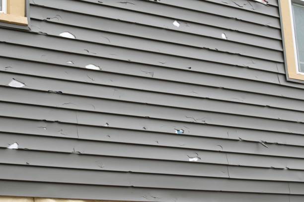 Best Same-Day Junk Removal Services  in Guthrie, KY